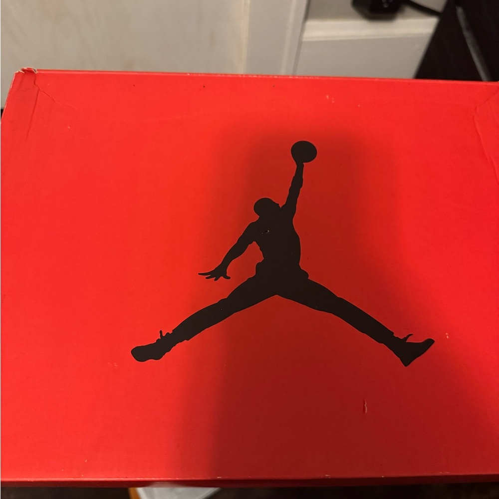 Air Jordan 6 Toro Bravo